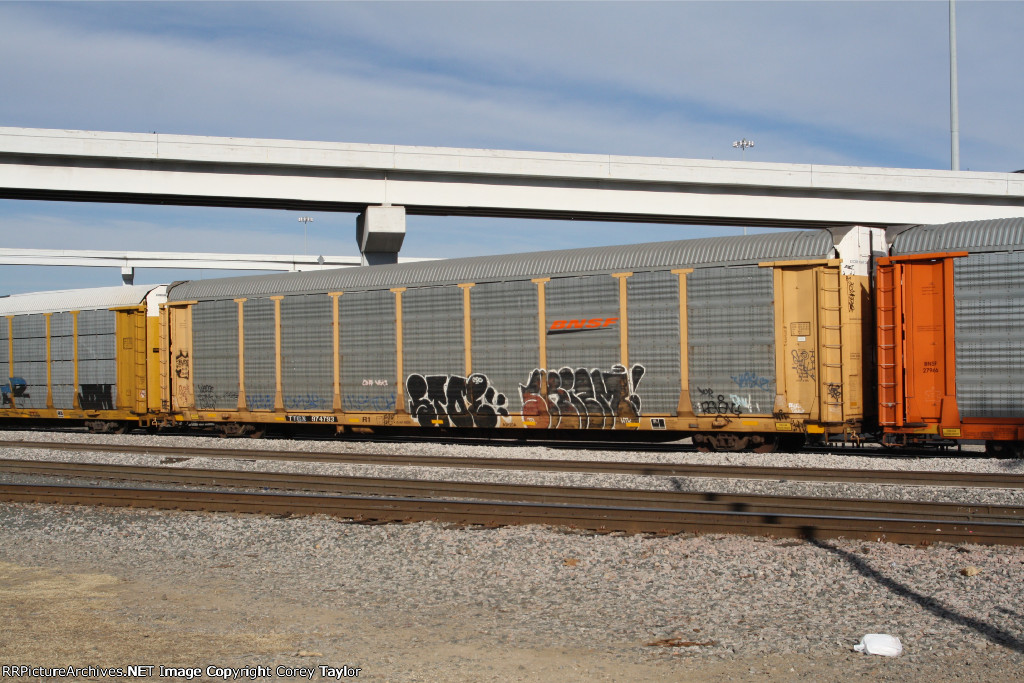 TTGX 974793